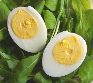 Hard Cooked Eggs Recipe Photo