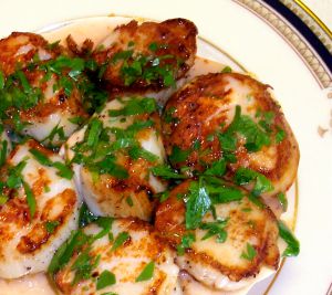 Sea Scallops Recipe Photo