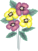 Flowers Image